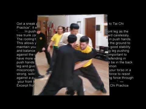 Push Hands - yielding back or occupy the front?