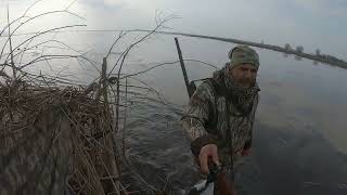 Sezonun Son Ördek Avini Yaptik 2024, Duck Huntingохота На Утку.