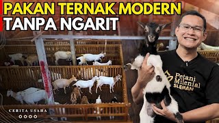 Sukses Ternak Kambing Dan Domba Tanpa Ngarit Kandang Tidak Bau Dan Ternak Sehat  Kisah Inspirasi