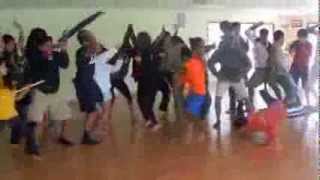 Harlem Shake - HHSC 2nd Session Counselors