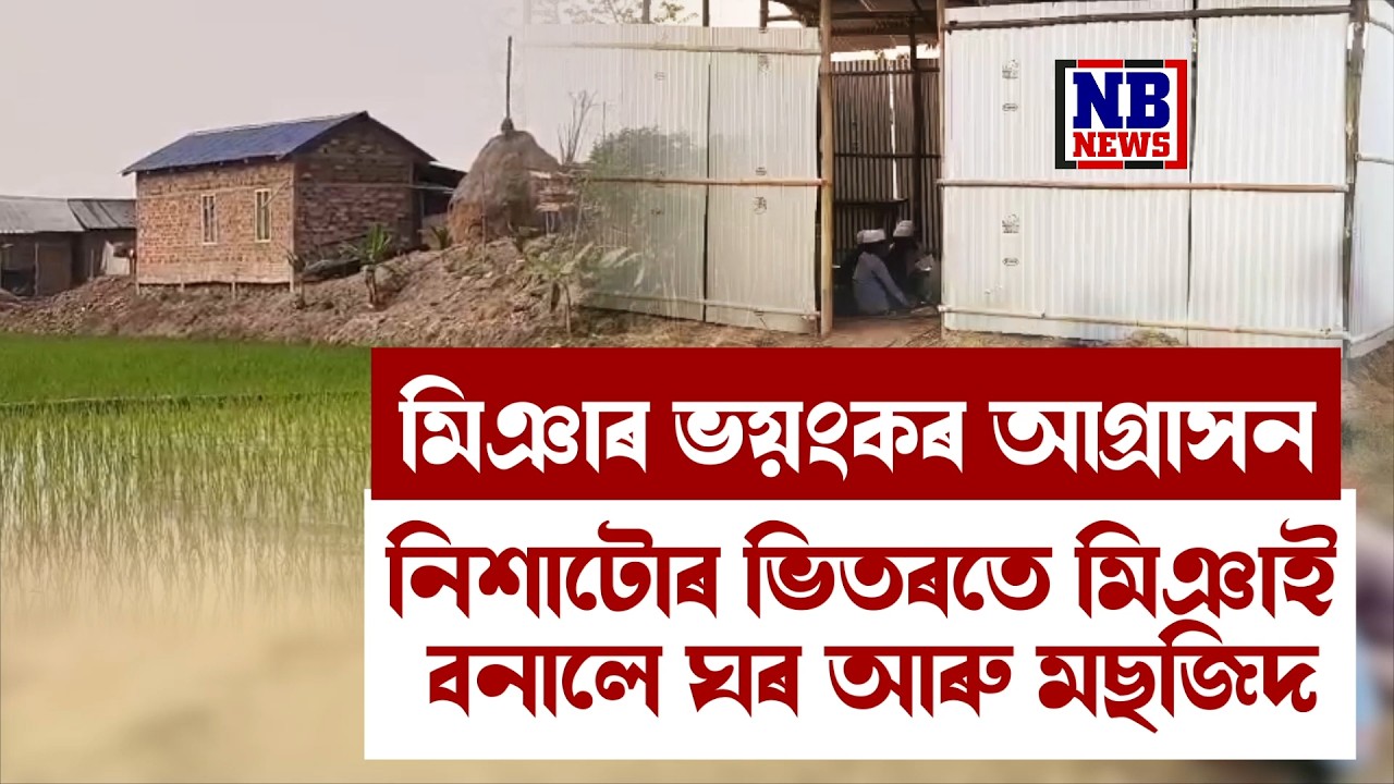 নিশাটোৰ ভিতৰতে হিন্দু বসতিপ্ৰধান অঞ্চলত সৃষ্টি মিঞাৰ গাঁও।