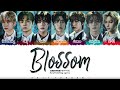 ENHYPEN - &#39;BLOSSOM&#39; Lyrics [Color Coded_Kan_Rom_Eng]