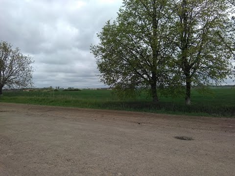 Чудное утро в Тростянце, солнышко взошло!!!