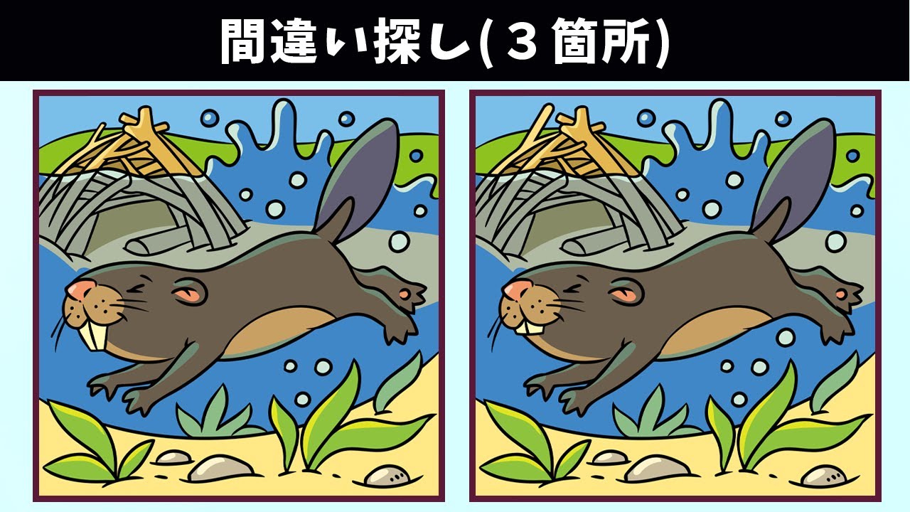 Найдите 3 отличия | Иллюстрация Версия #1148