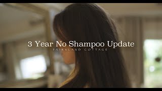 3 Year No Shampoo Update