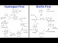 Hydrogenation Catalysts and Mechanisms