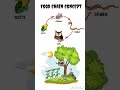 Food chain concept | Ecology | NCERT #ncert #biology #education #ecosystem
