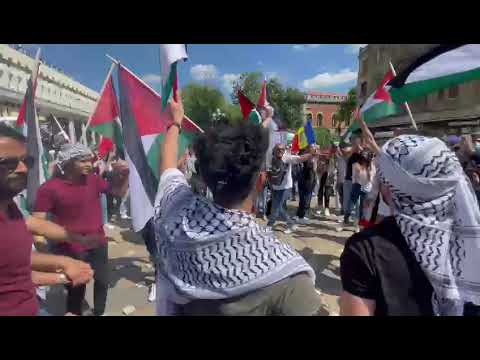 Protest al palestinienilor la Timisoara