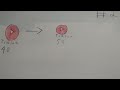 40→50 subscribers σε 10 μέρες (ΜΕΡΑ 2)