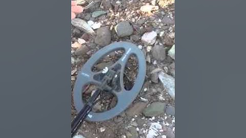 Minelab Fine Gold Works