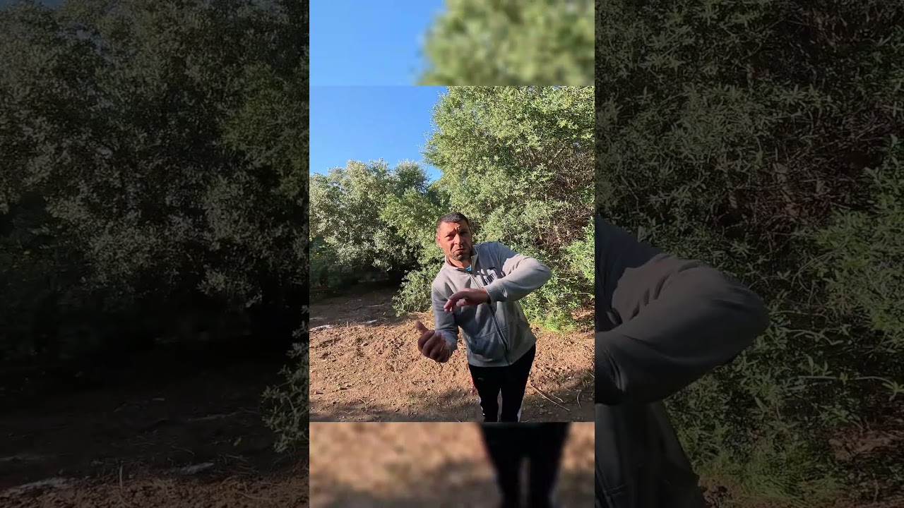 Vídeo completo ☝️ Asi viven en chabolas en Mallorca #mallorca #chabolas #viajar #chabola #viral
