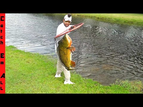 CATCHING MONSTER FISH to BRING HOME! **Testing Ponds for signs of