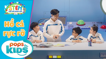 STEM Thế Giới Khoa Học - Tập 17: Hồ Cá Rực Rỡ - Bộ Đồ Chơi Giáo Dục