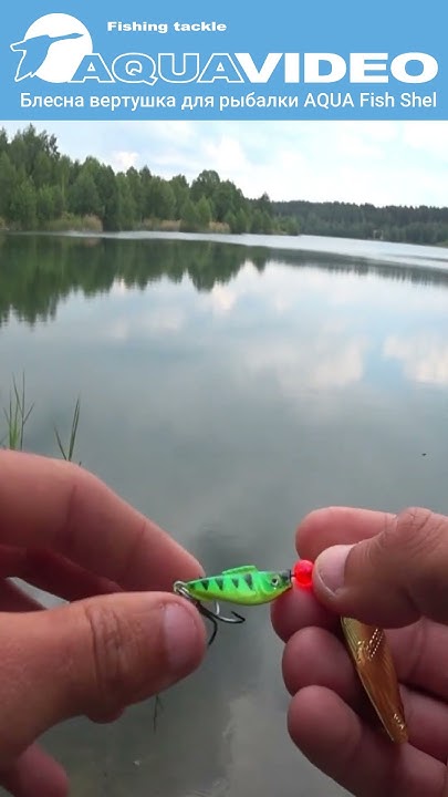 Блесна вертушка для рыбалки AQUA Fish Shel на щуку, судака и окуня ...