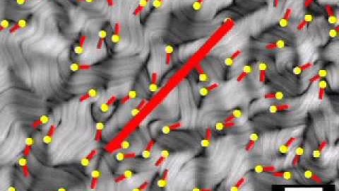 Large-Scale Orientation of Defects