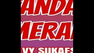 Download lagu Tanda Merah - ELVY SUKAESIH ( lagu dangdut jadul )