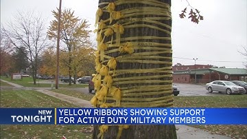 Yellow ribbons showing support for active duty military members