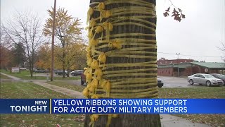 Yellow ribbons showing support for active duty military members