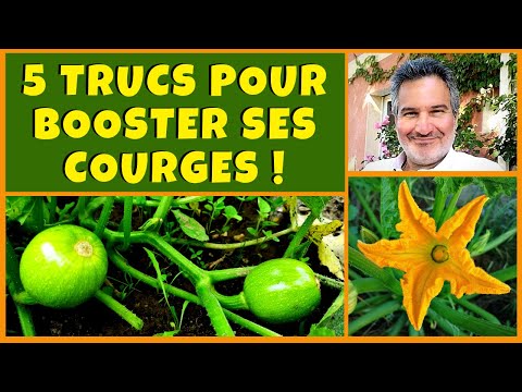 Vidéo: 5 Gourdes à cultiver : Cultiver différents types de courges