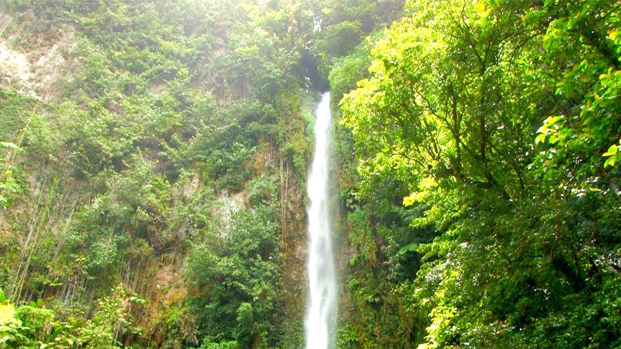 CARIBBEAN Meditation Scene – Victoria Waterfalls – DOMINICA, The Island of Discovery