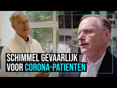 Video: Kan Schimmel Veroorzaken: Recent Onderzoek, Risico's En Blootstelling Voorkomen