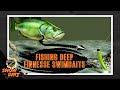 DEEP FINESSE SWIMBAITS - ZONA SHOW DIRT Epsode #2