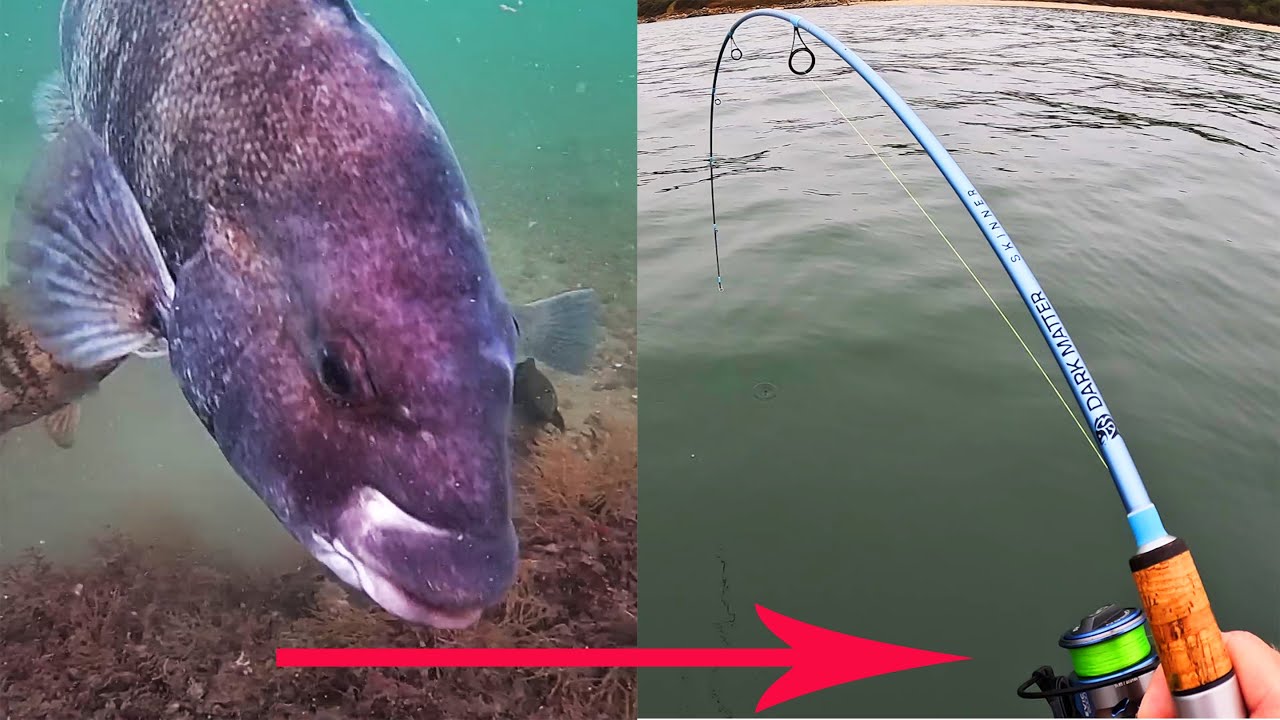 Underwater Video Shows Fish Hitting Jigs - Turn Bites Into Catches