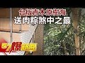 台版青木原樹海 送肉粽煞中之最《57爆新聞》精選篇 網路獨播版