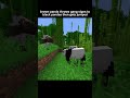 Gang signs #shorts #ytshorts #minecraft #meme #minecraftmemes #gangster #panda #hood