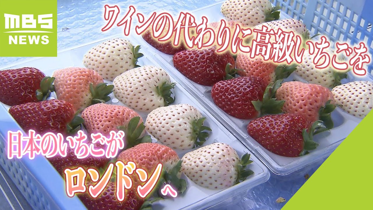 Japanese Brand Strawberries a Hit at London Department Store