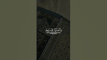 الأية 23 من سورة هود 🎧