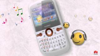 Huawei G6620