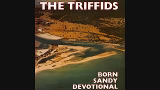 The Triffids / Life of Crime (1986) [Australian album track]