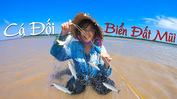 Giăng lưới trúng ổ CÁ ĐỐI gỡ mỏi tay tại biển Đất Mũi Cà Mau | YẾN TRẦN TV