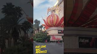 OUR LOVE WAS MADNESS ✍💋🇺🇸 Words and Music - @NataliaLapina (aka Korra Ray)#shorts #reels #lasvegas