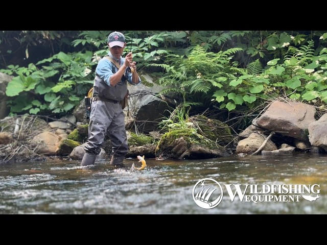 Slow Fishing in the Hot Japanese Summer - YouTube