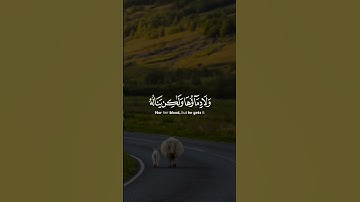 لن ينال الله لحومها ولا دماؤها ولكن يناله التقوى منكم كذلك سخرها لكم |سورة الحج | القارئ سعد الغامدي