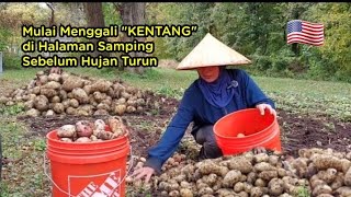 Download Lagu Menggali kentang ORGANIK \ MP3 Download Lagu Menggali kentang ORGANIK \ MP3