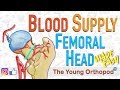 Blood Supply of Femoral Head | MADE EASY | NEET PG | Femur Anatomy - The Young Orthopod