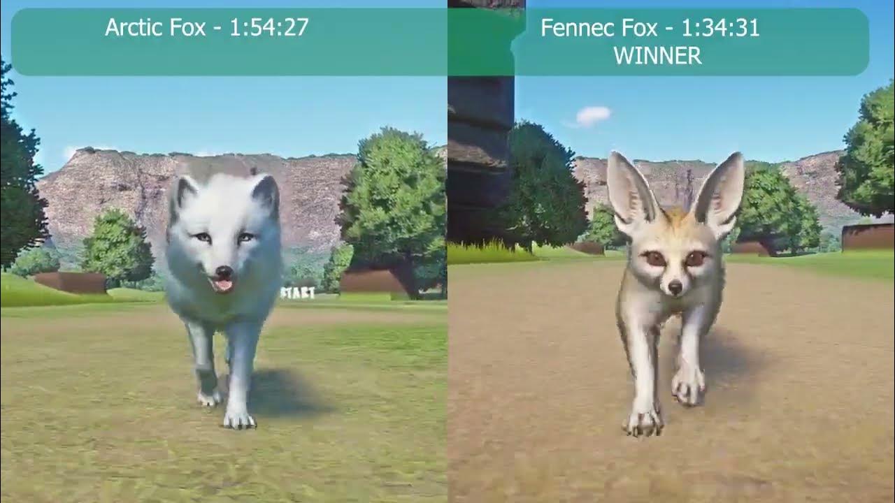 Fox Speed Races in Planet Zoo Fennec Fox vs Arctic Fox Copy 4 - YouTube