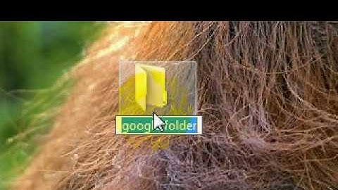 how to rename a folder in vista