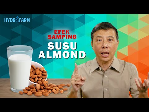 EFEK SAMPING SUSU ALMOND, Waspadalah !