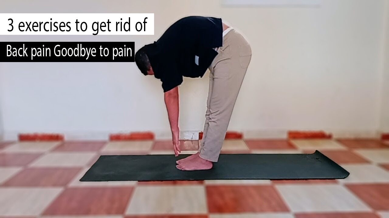 3 Effective Exercises to Say Goodbye to Lower Back Pain - YouTube