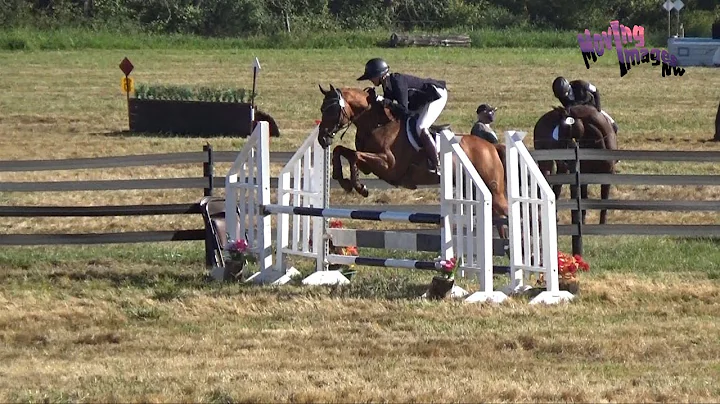 1st Place Open Novice A; Karen O'Neal; September 2...