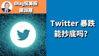 Twitter暴跌，能抄底吗？推特公司盈利能力分析，你是愿意当Twitter的股东，还是愿意当员工？ ERay说美股 - EP036 2020.11.2