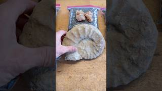 HUGE Ammonite, Quartz Crystals added to The Final Step Diamond Ore.