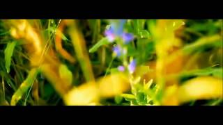 Salah Bukhatir ¤ Surah Luqman ¤ صلاح بوخاطر ¤ سورة لقمان