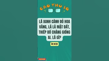 Câu Đố Vui Nhộn 2: Thử Thách Tư Duy Logic Của Bạn p59 | Cao Thủ IQ #funny #dovui #giaitri #haihuoc