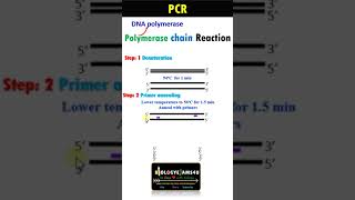 PCR in a Minute|| Why called Polymerase Chain Reaction?