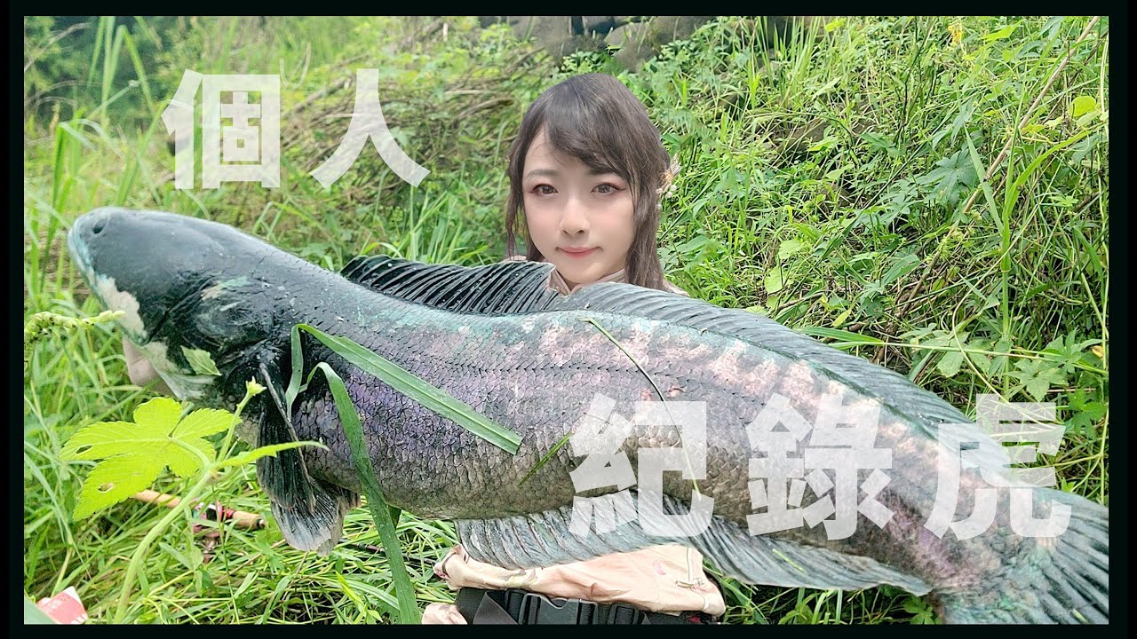 【追尋米虎ep4】溪流重障礙的直球對決!漆黑身影打破個人紀錄! #魚虎 #路亞釣魚 #Toman